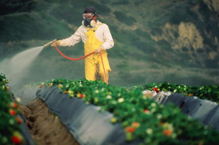 wordpress.com Monsanto виплатить $289 млн американцю, який захворів на рак через їхній пестицид