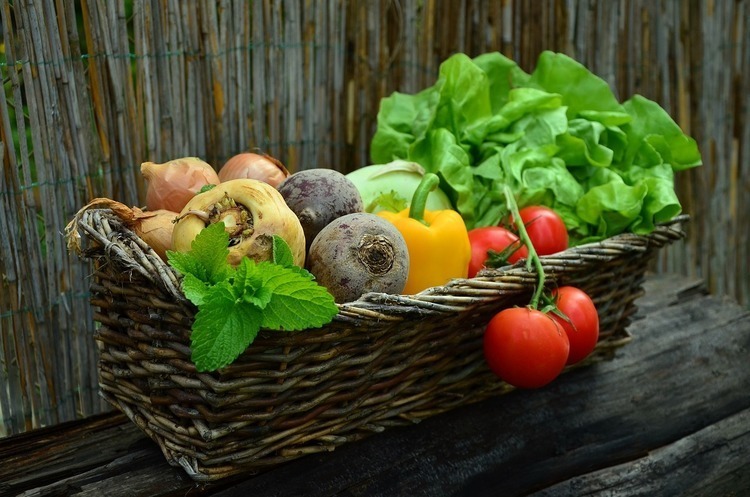 Нідерланди купують найбільше української агропродукції серед країн ЄС Нідерланди купують найбільше української агропродукції серед країн ЄС