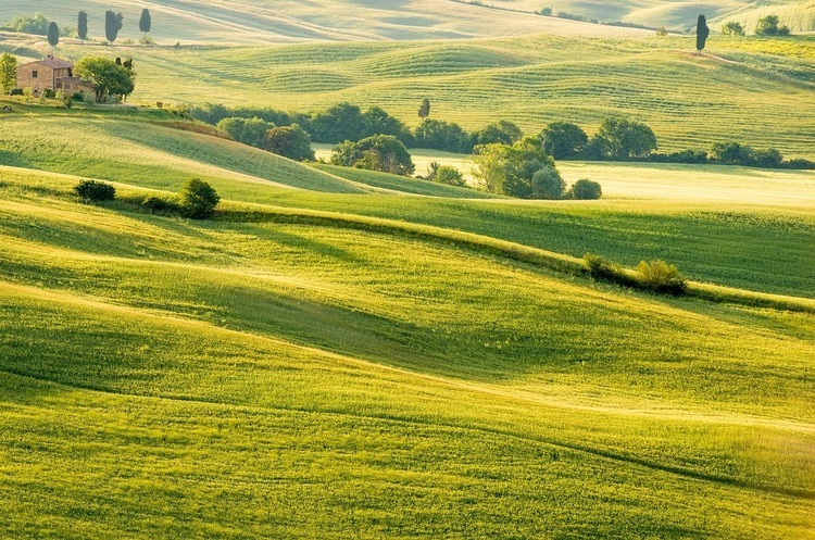 Фото: Shutterstock Україна та Франція планують створити метеокластер для допомоги фермерам
