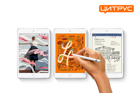      Apple iPad mini  iPad Air
