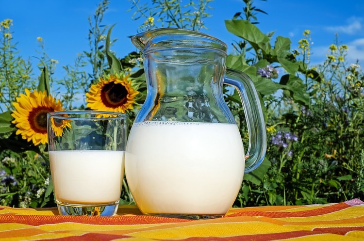 Виручка від експорту молочних продуктів скоротилася на 22% Виручка від експорту молочних продуктів скоротилася на 22%