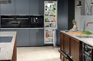 Electrolux робить ставку на голосове управління побутовими приладами