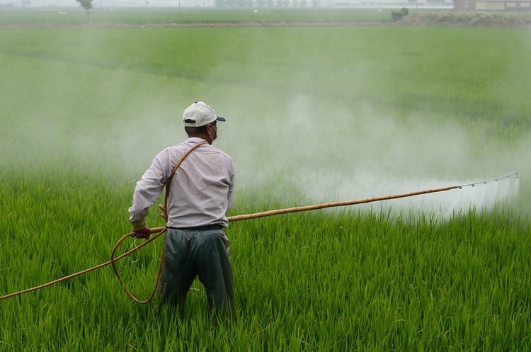 Суд зобов’язав Monsanto виплатити понад $80 млн онкохворому Суд зобов’язав Monsanto виплатити понад $80 млн онкохворому
