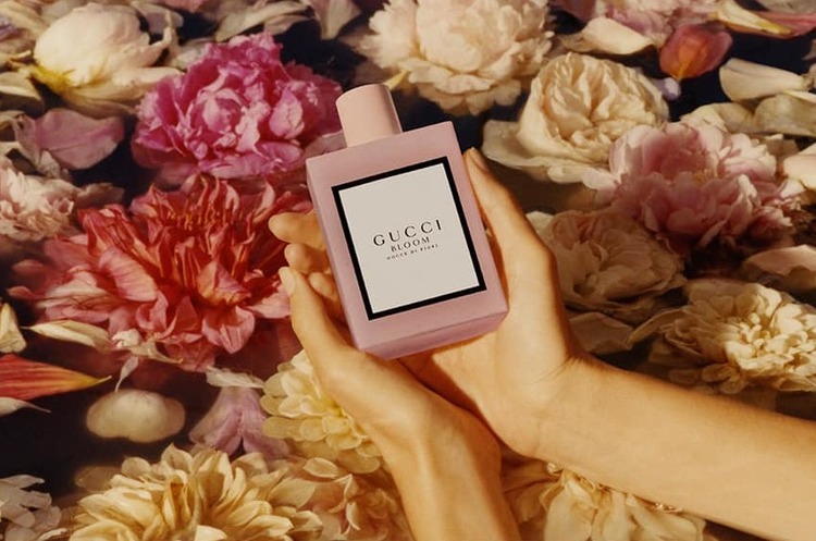 Власник Gucci погодився сплатити податковим регуляторам Італії 1,4 млрд євро – ЗМІ Власник Gucci погодився сплатити податковим регуляторам Італії 1,4 млрд євро – ЗМІ