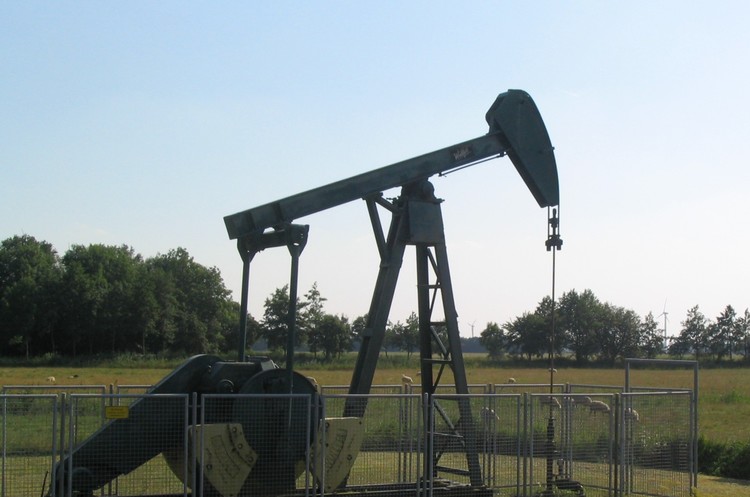 Фото: Вікіпедія «Укргазвидобування» придбало на онлайн-аукціоні 5 нафтогазових ділянок на суму 76 млн грн