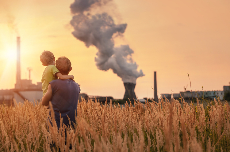 фото Shutterstock Близько мільйона видів рослин і тварин зникнуть найближчим часом – доповідь ООН