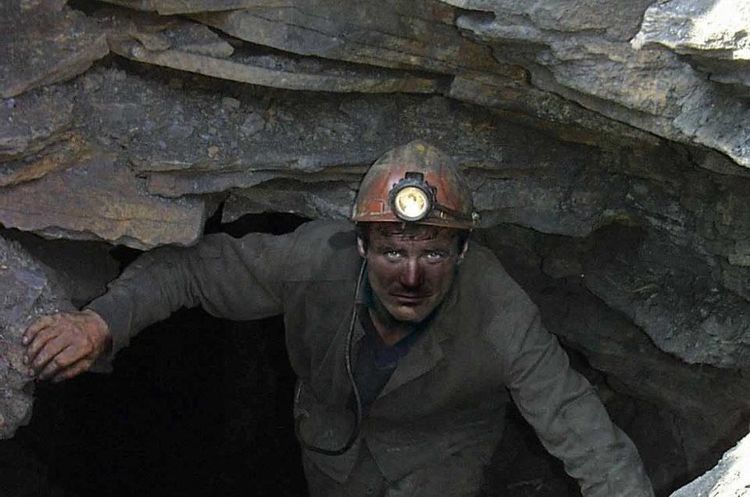 Фото: УНІАН Страхувальник з Нідерландів планує скасувати страхування учасників вугільного бізнесу
