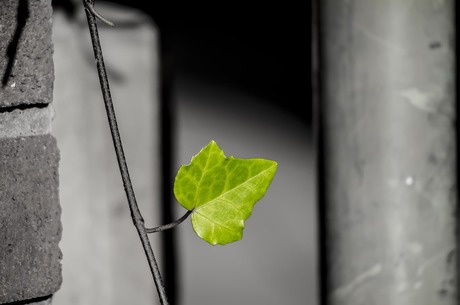 4   : CO2-, ,   