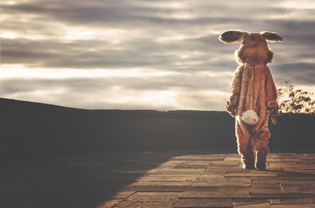 Fur-free :      