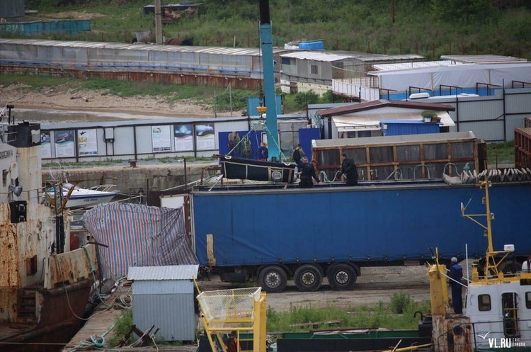 фото VL.ru Поставки китів у Китай скасовано: російських белух і косаток випускають в море після скандалу