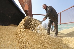 Інфографіка: як Україна торгувала зерном врожаю 2018 року