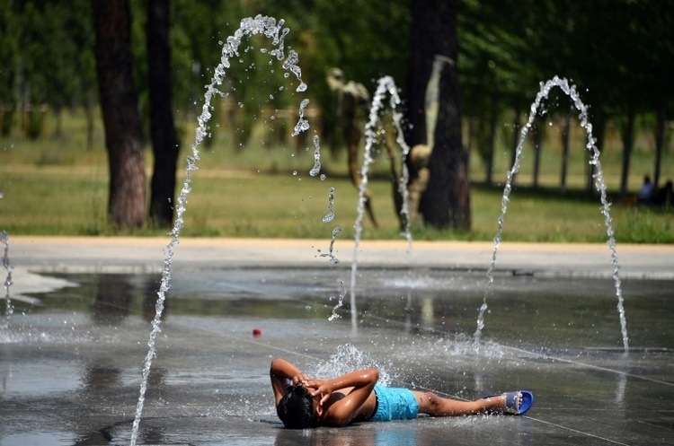 Фото: AFP / Pascal GUYOT Рекордна спека в Європі позбавила життя 8 людей