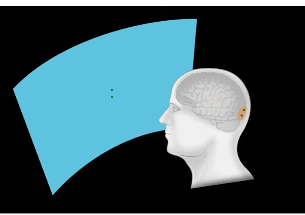 Neuralink Ілон Маск представив технологію Neuralink для підключення мозку до комп'ютера