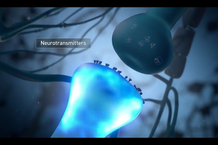 Neuralink Маска: як технологія вплине на людство Neuralink Маска: як технологія вплине на людство