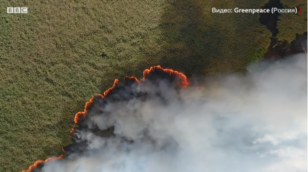 скрін-шот із відео У Сибіру горить 3 млн гектарів лісу: Росії загрожує екологічна катастрофа