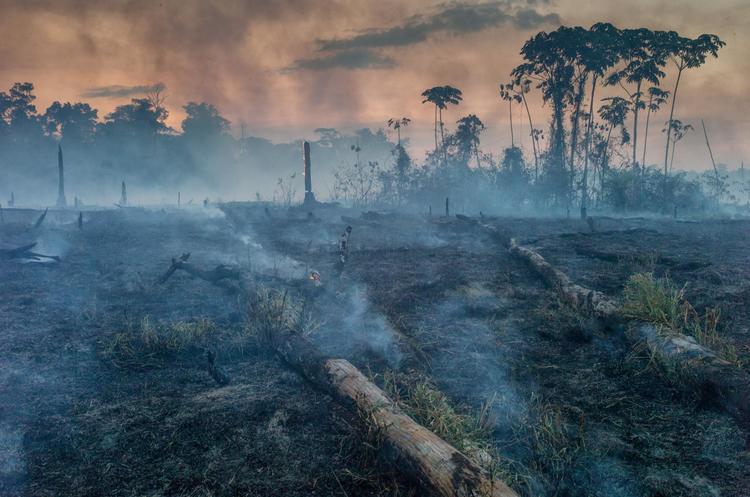 Фото: National Geographic Фінляндія закликала ЄС припинити імпорт м'яса і сої з Бразилії через пожежі в Амазонії