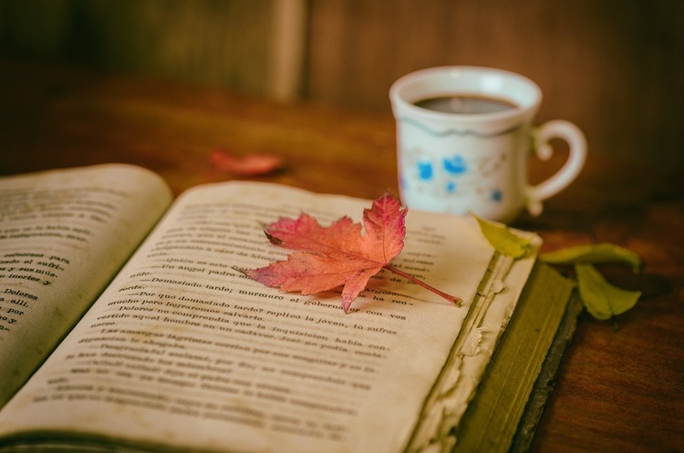 Український книжний стартап Litnet.com отримав $330 000 інвестицій Український книжний стартап Litnet.com отримав $330 000 інвестицій