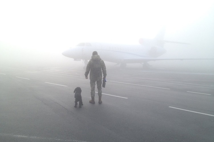 День третій: через туман аеропорт 	«Київ» продовжує скасовувати та затримувати рейси