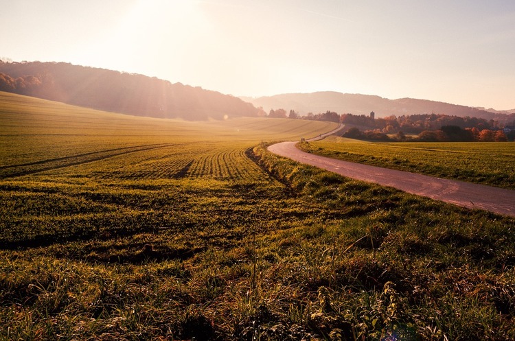 Фото: pixabay Усі в чергу: чи варто запроваджувати тимчасову заборону на купівлю землі для іноземців