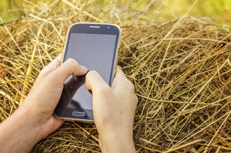 фото Shutterstock В бюджетних Android-смартфонах знайдено вразливості, які дозволяють красти дані