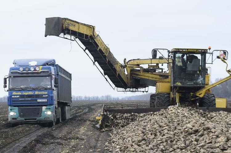 «Астарта» отримає $20 млн на модернізацію «Астарта» отримає $20 млн на модернізацію