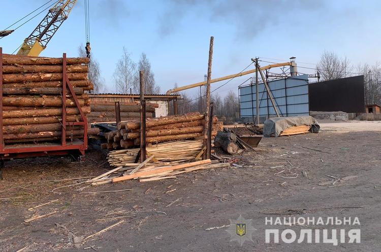 Поліція проводить обшуки на лісопереробних підприємствах Житомирщини Поліція проводить обшуки на лісопереробних підприємствах Житомирщини