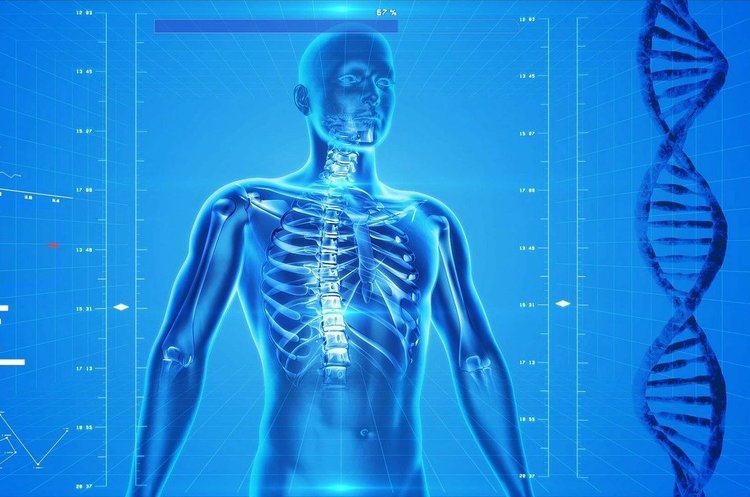 Трансплантати надрукованих у 3D кісток вже скоро стануть реальністю Трансплантати надрукованих у 3D кісток вже скоро стануть реальністю