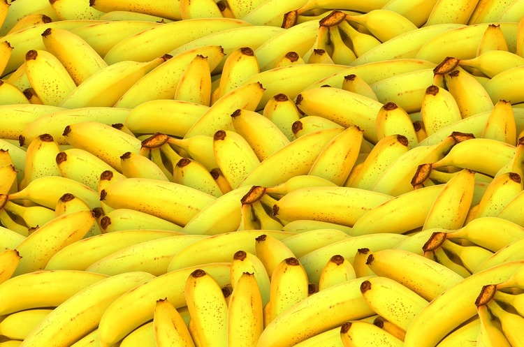      2019   270 000 - 275 000 