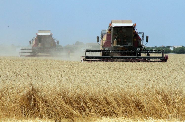 Кабмін затвердив компенсацію витрат на сільгоспобладнання для аграріїв Кабмін затвердив компенсацію витрат на сільгоспобладнання для аграріїв