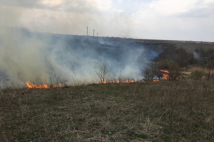 фото ДСНС Рада збільшила штрафи за підпал трави до 6000 грн і спричинення лісових пожеж до 150 000 грн