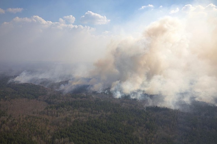 фото kmu.gov.ua Влада оцінила збитки від згорілих у лісових пожежах будинків на Житомирщині