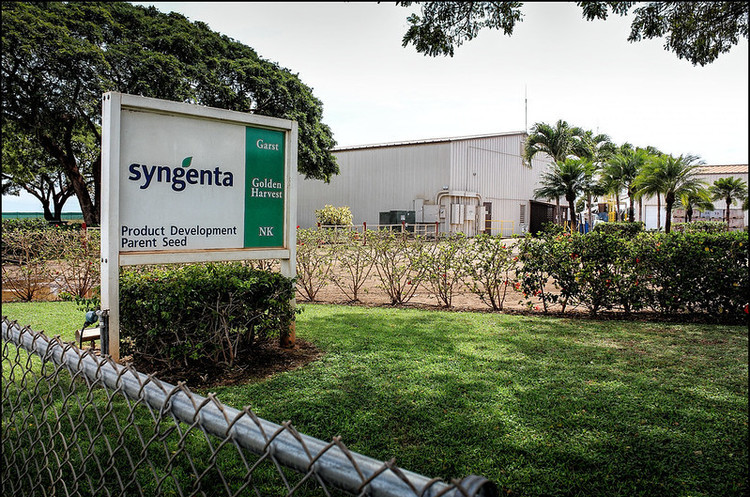 Syngenta і Radicle інвестують $1,25 млн у рішення у сфері виробництва рослинних білків Syngenta і Radicle інвестують $1,25 млн у рішення у сфері виробництва рослинних білків