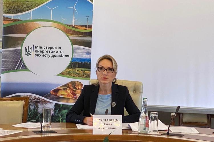 Ольга Буславець Інвестори ВДЕ та уряд близькі до компромісу щодо більшості положень меморандуму — Буславець