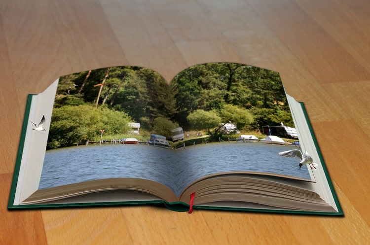 Фото: pixabay Соціальна дистанція з користю: 5 книжок для продовження саморозвитку