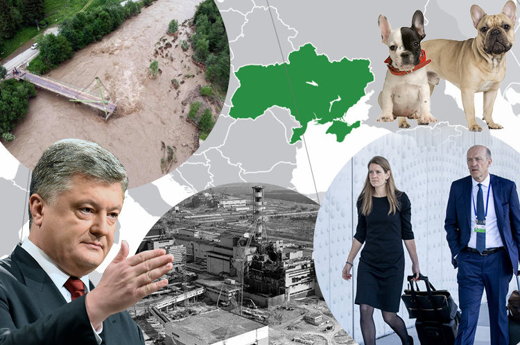 Україна в європейських ЗМІ: 38 мертвих цуценят, анонс допиту Порошенка, повені в Карпатах, сумніви адвокатів у слідстві щодо МН17 та секретні документи про Чорнобиль Україна в європейських ЗМІ: 38 мертвих цуценят, анонс допиту Порошенка, повені в Карпатах, сумніви адвокатів у слідстві щодо МН17 та секретні документи про Чорнобиль