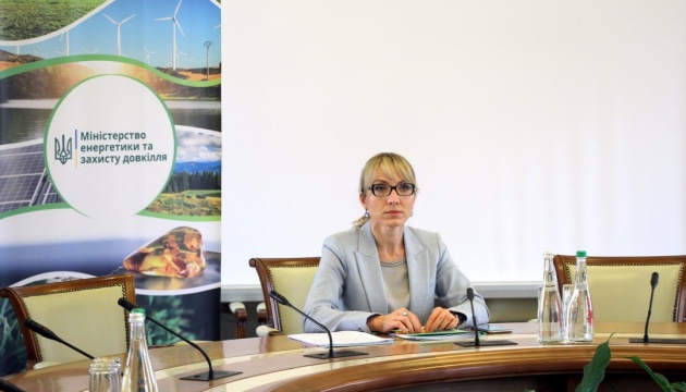 До 2023 року держава дозволить побудувати ще 1 ГВт вітрової електроенергії – Буславець До 2023 року держава дозволить побудувати ще 1 ГВт вітрової електроенергії – Буславець