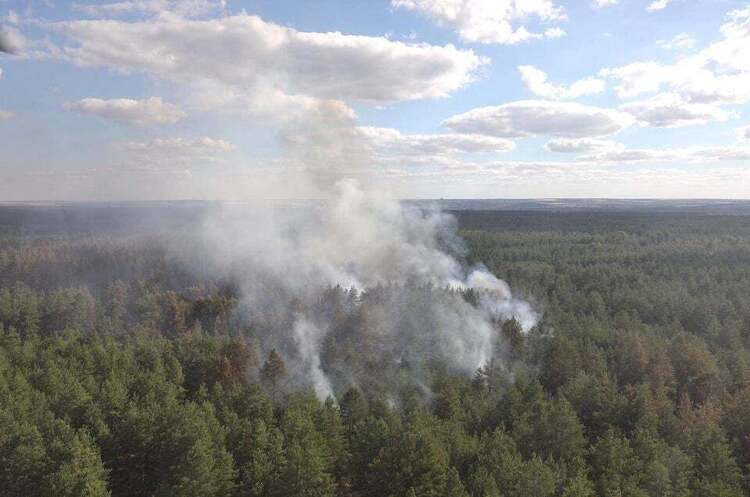 Лісову пожежу на Луганщині вдалося локалізувати Лісову пожежу на Луганщині вдалося локалізувати