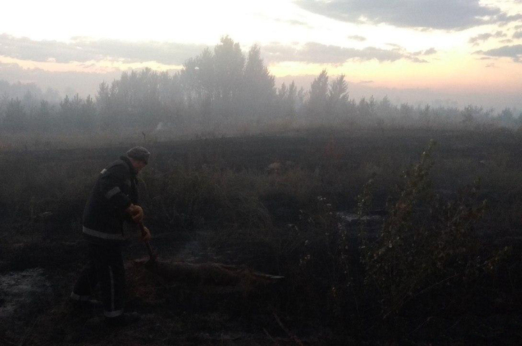 На Луганщині другу добу гасять лісову пожежу, спричинену обстрілом На Луганщині другу добу гасять лісову пожежу, спричинену обстрілом