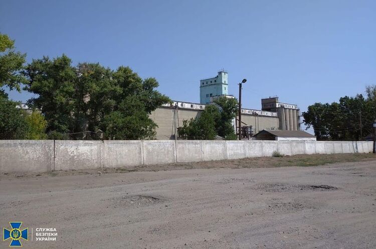 З державного резерву розікрали та продали 250 тонн соняшника і пшениці - СБУ З державного резерву розікрали та продали 250 тонн соняшника і пшениці - СБУ