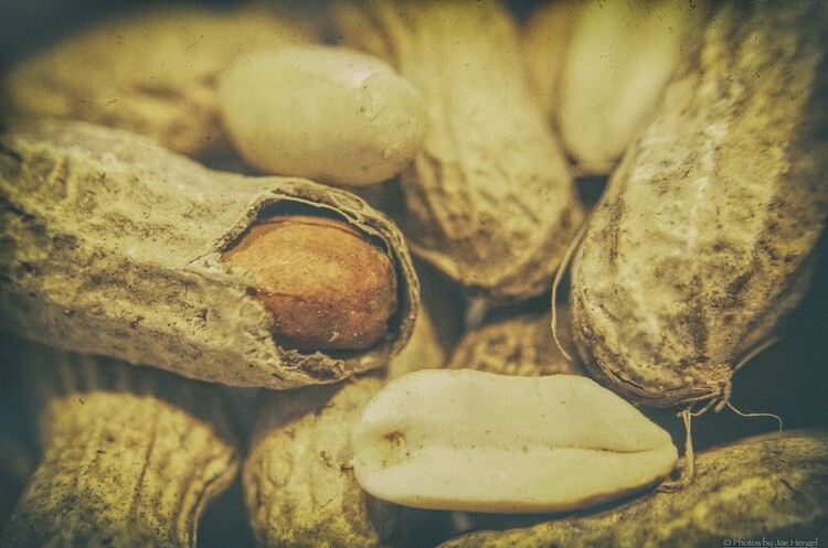 Nestle збирається купити виробника засобів для лікування алергії на арахіс за $2,6 млрд Nestle збирається купити виробника засобів для лікування алергії на арахіс за $2,6 млрд