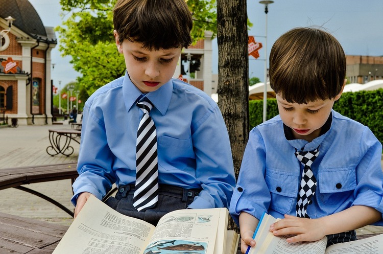Фото: pixabay Читанка: п’ять книжок від українських видавництв для відповідальної дитини