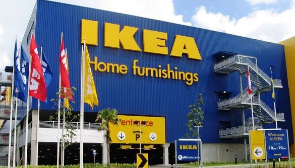 Ілюстративне фото В IKEA заявили, що не знайшли доказів використання незаконно заготовленої деревини