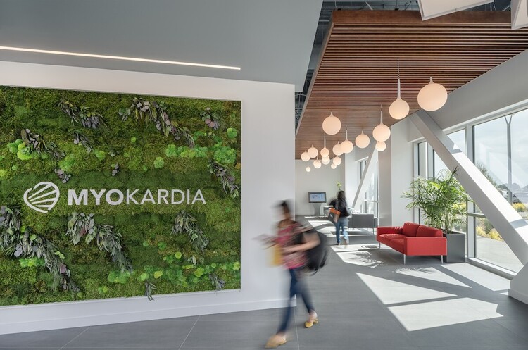 фото LinkedIn Фармакологічна компанія Bristol купить біотех компанію MyoKardia за $13,1 млрд