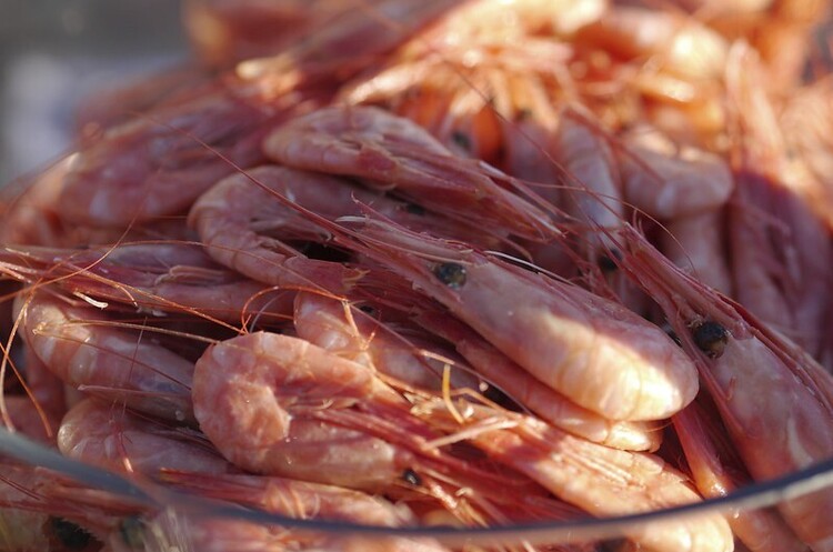 Сінгапурський стартап з виробництва морепродуктів з пробірки залучив $12,6 млн Сінгапурський стартап з виробництва морепродуктів з пробірки залучив $12,6 млн