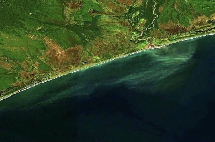 фото з відкритих джерел СК Росії завів дві кримінальні справи за фактом забруднення Тихого океану на Камчатці