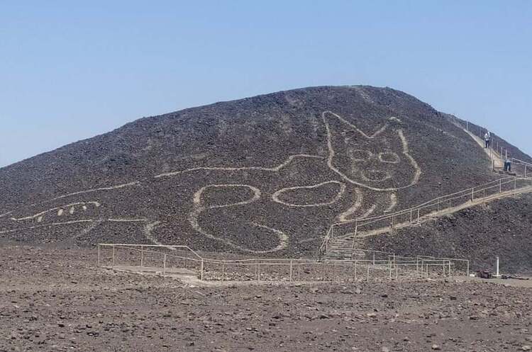 В Перу на плато Наска виявили під брудом стародавній геогліф кота