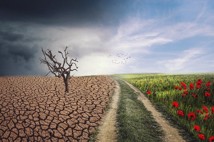 Глобально спекотно: як агробізнесу працювати зі змінами клімату
