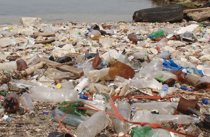 Coca-Cola, PepsiCo та Nestle: рейтинг компаній-лідерів із забруднення планети пластиком