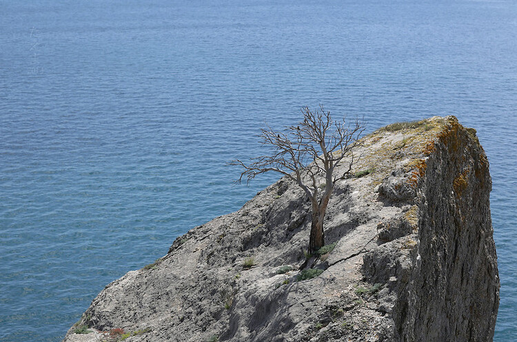 МЗС має намір заблокувати будівництво опріснювачів води в окупованому Криму – Кулеба МЗС має намір заблокувати будівництво опріснювачів води в окупованому Криму – Кулеба