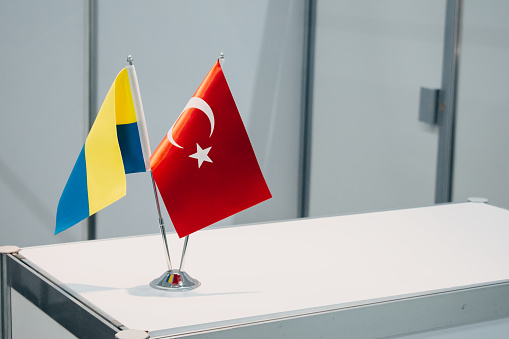 Україна та Туреччина реалізують разом понад 30 оборонних проєктів – посол